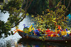 beetography > Chihuly @ Fairchild >  DSC_1128