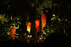 beetography > Chihuly @ Fairchild >  DSC_1346
