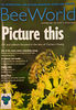 A bee on goldenrod (Solidago sp, Asteraceae).  Bee World also reprinted an article on a MSU newspaper about my photos.