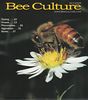 Cover photo of Bee Culture, one of the two popular bee journals in America.   Oct, 2004.