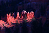 beetography > Bryce Canyon National Park >  DSC_6702spotlight