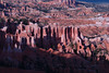 beetography > Bryce Canyon National Park >  DSC_6725