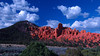 beetography > Red Canyon >  DSC_6674