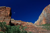 beetography > Zion Mountain National Park >  DSC_6172