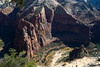 beetography > Zion Mountain National Park >  DSC_6470